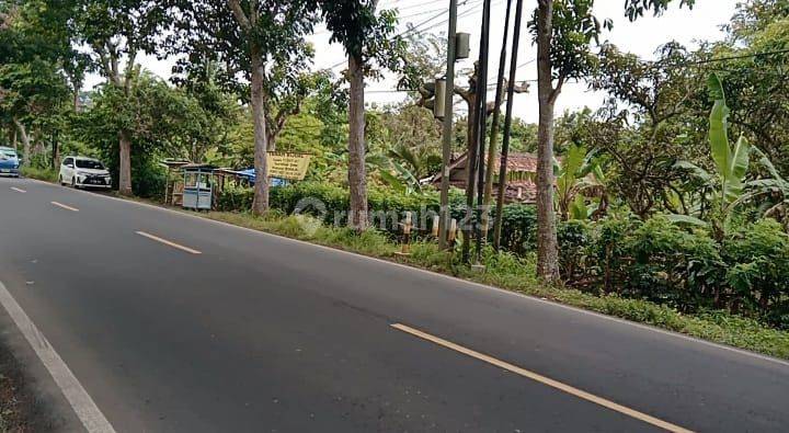 Dijual Tanah di Rangkasbitung, Banten. Luas 17.570m2. Shm. Murah 3
