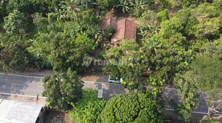Dijual Tanah di Rangkasbitung, Banten. Luas 17.570m2. Shm. Murah 5
