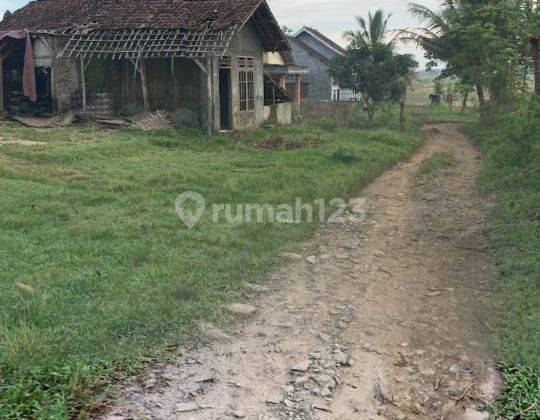 Dijual Tanah di Pamarayan, Serang, Banten. Lt 10ha. Shm. Murah 2