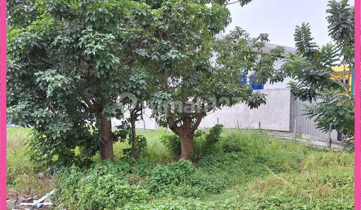 Dijual Tanah Siap Bangun di Bojong Sari, Pondok Petir, Depok.