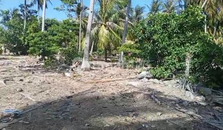For Sale Ready-to-Build Land at Loedi Beach, Rote Ndao, NTT. Area 1400 m².