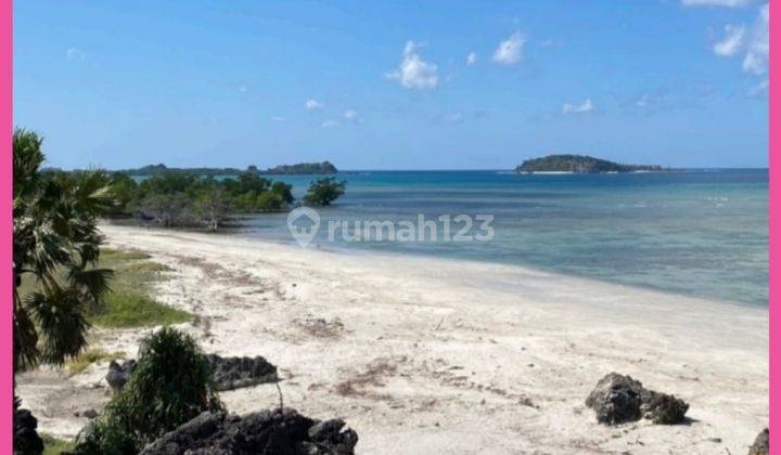 Dijual Tanah Beachfront di Pantai Sanama, Rote Ndao, Ntt. Shm.  1