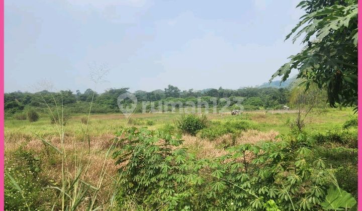 Dijual Tanah Siap Bangun Tepi Jalan Raya Rumpin Bogor. Lt 1.7 Ha Dijual Tanah Siap Bangun Tepi Jalan Raya Rumpin Bogor. Lt 1.7 Ha