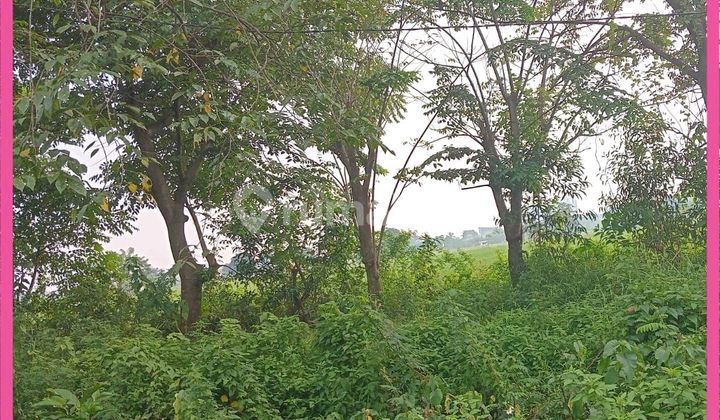 Dijual Tanah Zona Industri 28 Ha Di Pancatama Cikande Banten. Dijual Tanah Zona Industri 28 Ha Di Pancatama Cikande Banten.