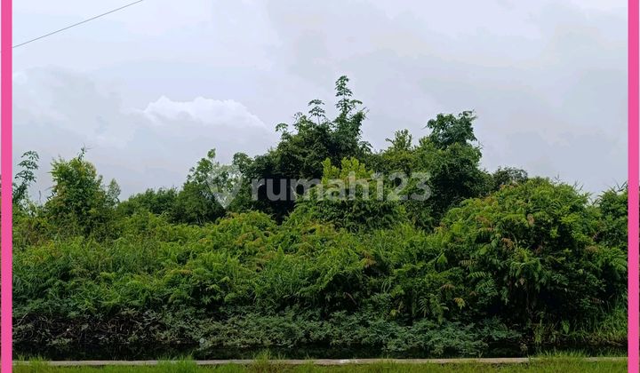 Land for Sale, Ready to Build in Gambut Banjar, South Kalimantan. SHM