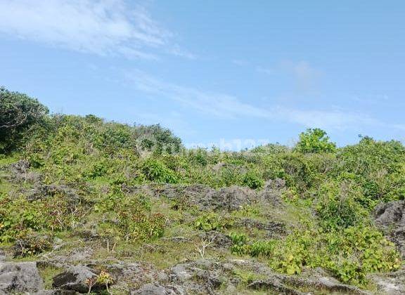 Dijual Tanah Siap Bangun Luas 5829m2 Di Pantai Loedi Kec Boa Ntt 2