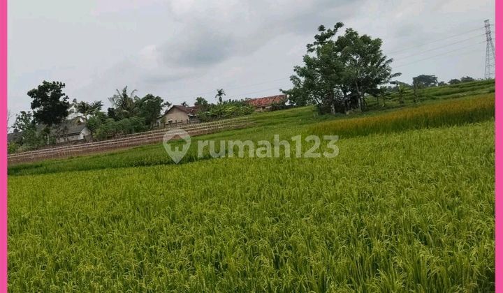 Dijual Tanah Sawah Darat 15 Ha di Cikande Serang Banten. SHM. Dijual Tanah Sawah Darat 15 Ha di Cikande Serang Banten. SHM.
