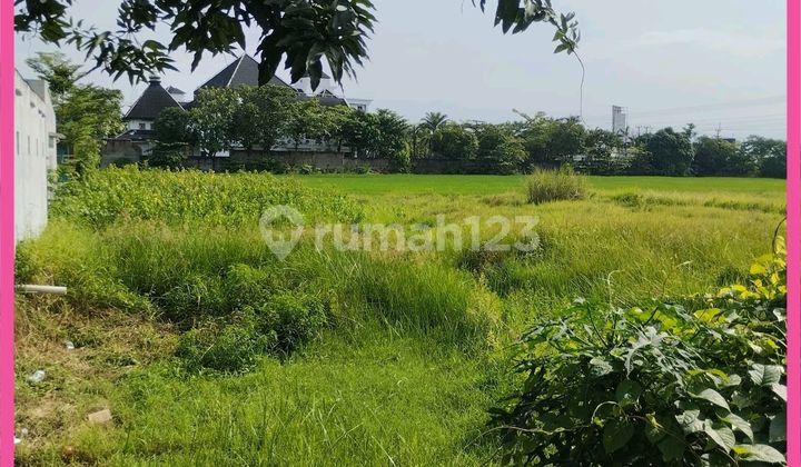 Land for Sale 1Ha in Cilegon. Certificate of Ownership. Near East Cilegon Toll Exit. Land for Sale 1Ha in Cilegon. Certificate of Ownership. Near East Cilegon Toll Exit.