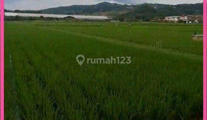 Dijual Tanah Di Jelekong Kabupaten Bandung. Luas Tanah 3248m2. 1