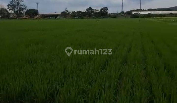 Dijual Tanah Di Jelekong Kabupaten Bandung. Luas Tanah 3248m2. 2
