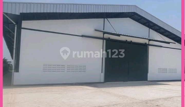For Rent 4 New Warehouses in Buditexindo Cikande Area. Ready for Occupancy.