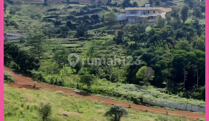 For Sale 108 Hectare Land in Sentul Bogor. SHGB Until 2030. Cheap.