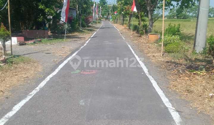 Tanah Murah Prambon Sidoarjo Nol Aspal Siap Bangun