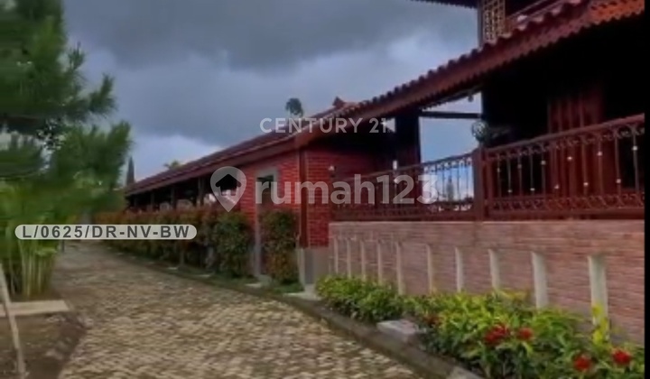 Villa Cantik Instagramable Aesthetic Siap Huni Di Ciwidey Bandung Villa Cantik Instagramable Aesthetic Siap Huni Di Ciwidey Bandung