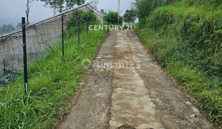 Tanah Bentuk Persegi Hadap Timur Di Cikahuripan Lembang Bandung 2