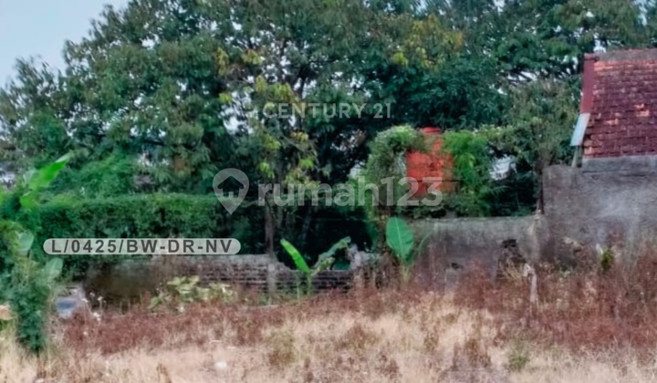 Tanah Luas 226 Kondisi Matang SHM Di Tenjolaya PasirJambu Ciwidey Tanah Luas 226 Kondisi Matang SHM Di Tenjolaya PasirJambu Ciwidey