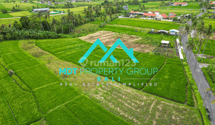 Tanah di Seseh, Badung HS 4.000 m² 2