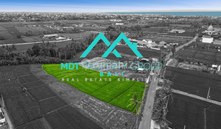 Tanah di Seseh, Badung HS 4.000 m² 3