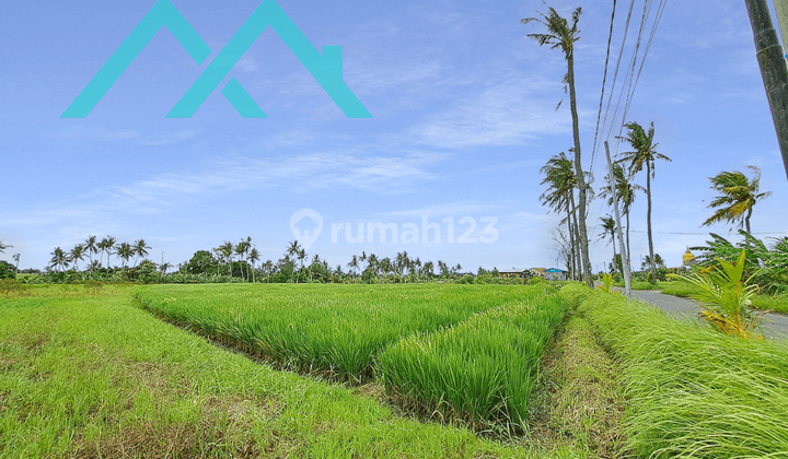 Tanah di Seseh, Badung HS 4.000 m² 4