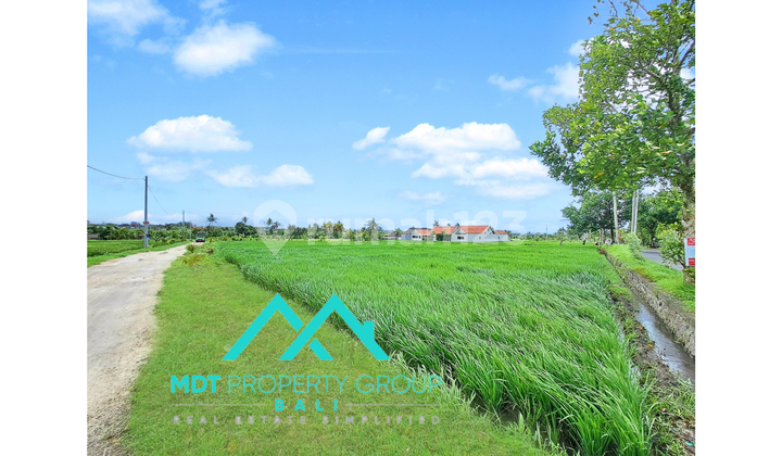 Tanah di Seseh Land, Badung HS 2.450 m² 1