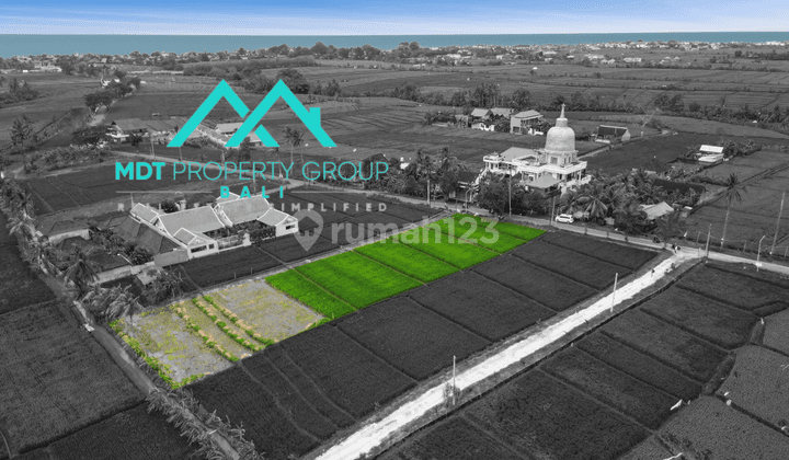 Tanah di Seseh Land, Badung HS 2.450 m² 3