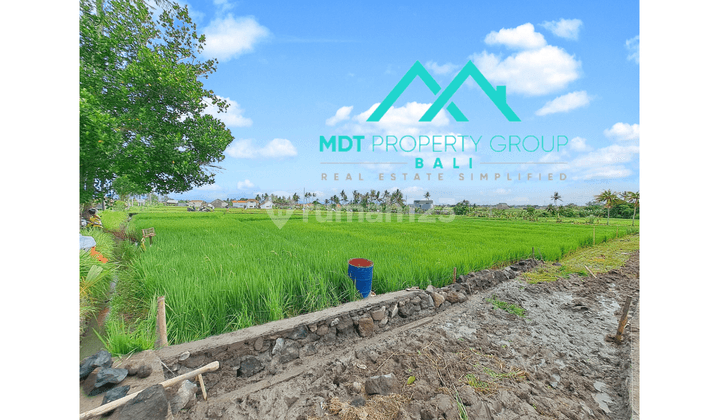 Tanah di Seseh Land, Badung HS 2.450 m² 4