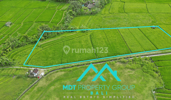 Tanah di Near Jalan Raya Tanah Lot, Badung HS 18 are 3