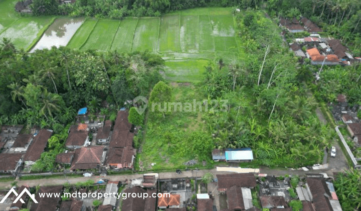 A Quiet Place To Live 1400 For Lease In Ubud 1