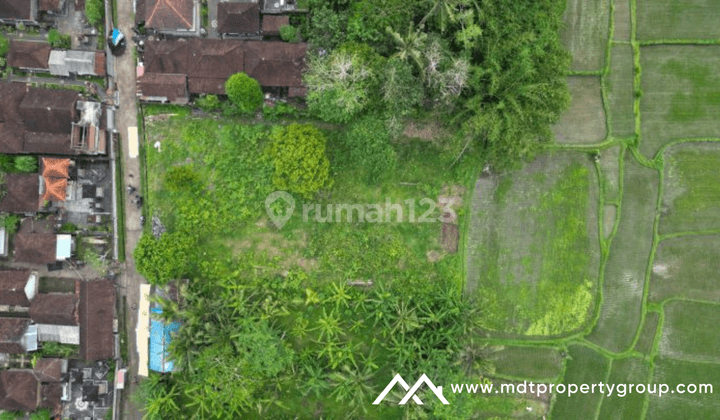 A Quiet Place To Live 1400 For Lease In Ubud 4