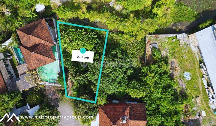 Prime Freehold Land for Sale in Kerobokan: A Perfect Investment Opportunity 2