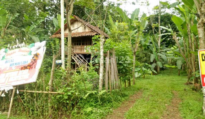 Tanah kering dekat jalan Raya, ruko dan sekolah Gondoriyo Ngalian 2