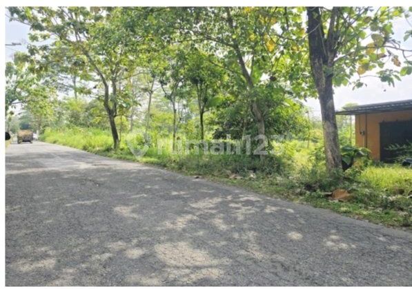 Lahan Industri Zona Merah Ready Bangun Bon Bimo Boyolali