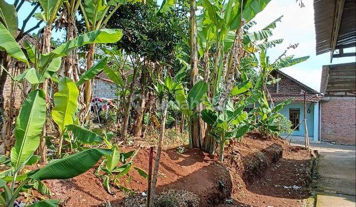 Dijual Tanah Strategis Dekat Sma 16 Mijen Semarang 11