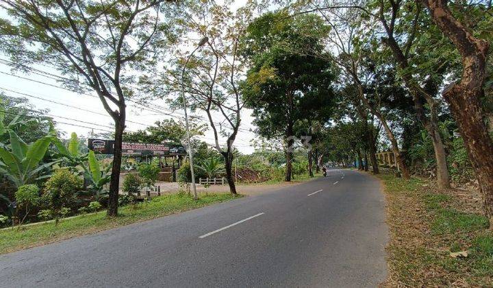 Tanah Termurah Pinggir Jalan Raya Utama Semarang Barat 1