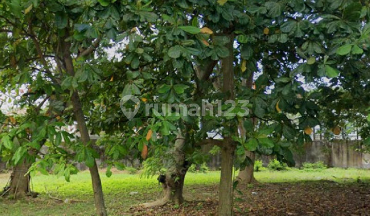 Peluang Emas, Tanah Di Padma Boulevard Utara, Area Hunian Premium 1