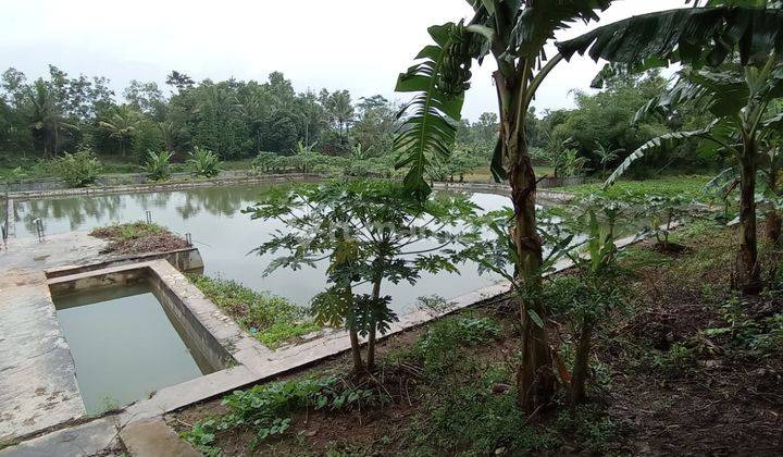 Dijual Workshop Gudang Pabrik di Jln.raya Cikande Rangkas Bitung  4