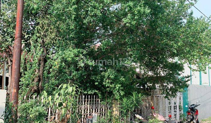 Dijual Cepat Rumah Tua Pluit Sakti, Jakarta Utara 1