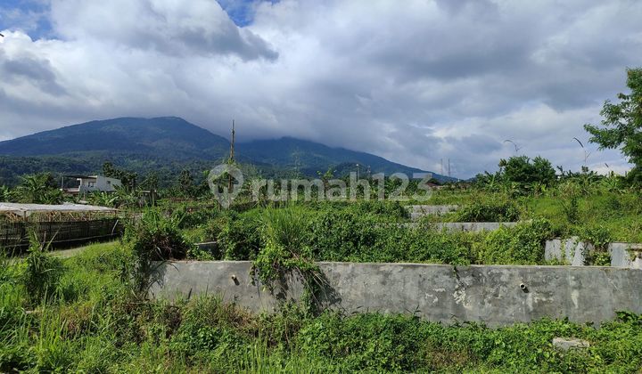 Paddy Field with Best View of Mountain Near Bnr..
