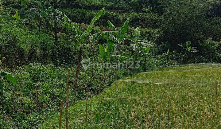 Tanah Di Jual Rancamaya Bogor Ciawi Best 2