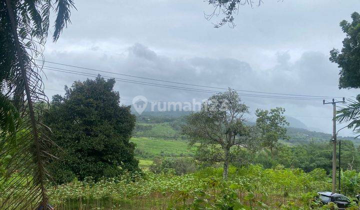 Tanah Murah Bogor Sukamakmur Pinggir Jalan 2