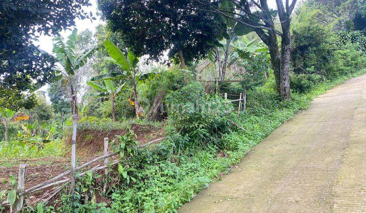 Tanah Dijual Cijeruk Hak Milik Best View  1