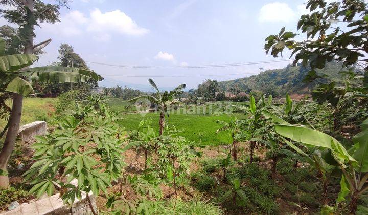 Tanah Sawah Pingir Jalan Raya Dan Belakang Sungai 1