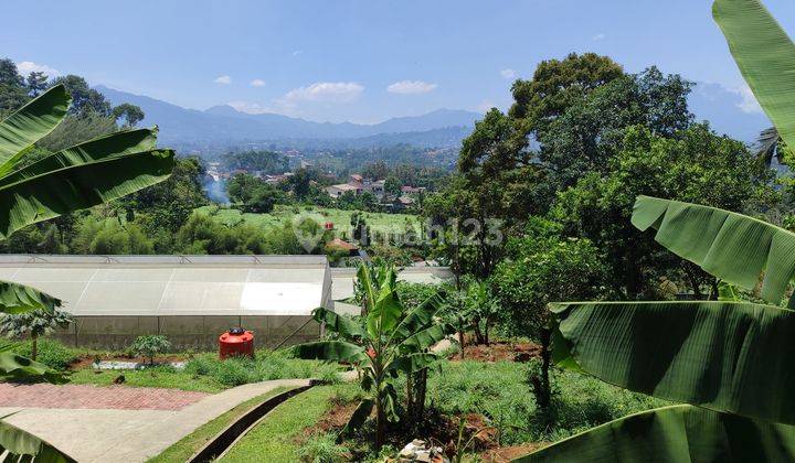 Tanah Dan Villa Gunung geulis Best View  1