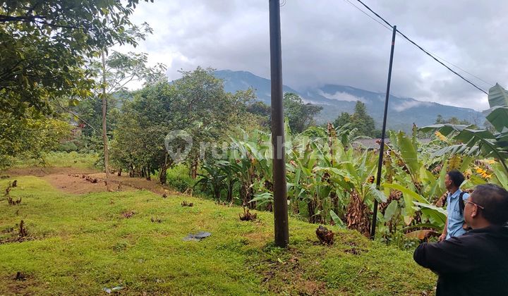 Mountain View Land in Cijeruk Bogor Freehold