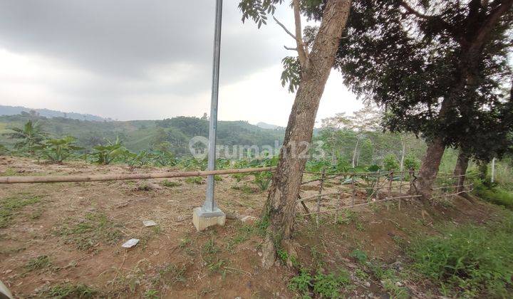 Tanah Murah Pinggir Jalan Raya Sukamakmur 2