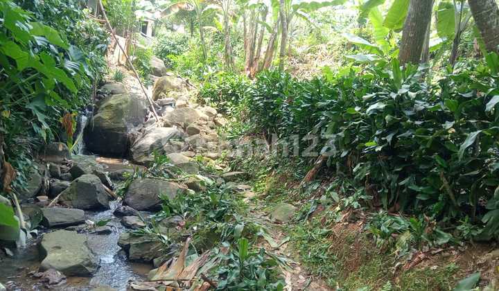Tanah Murah Gunung Geulis Sumarecon Bogor Tanah Murah Gunung Geulis Sumarecon Bogor