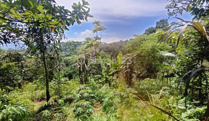 Tanah Cijeruk Tajur halang Boja fam balakosa  5