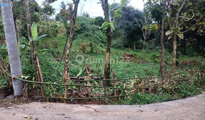 Di jual tanah Cijeruk Bogor gunung salak  2