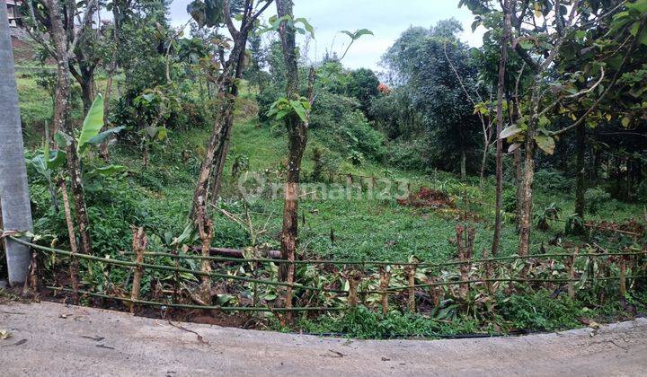 Di jual tanah Cijeruk Bogor gunung salak  5