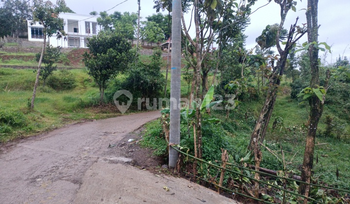 Di jual tanah Cijeruk Bogor gunung salak  6